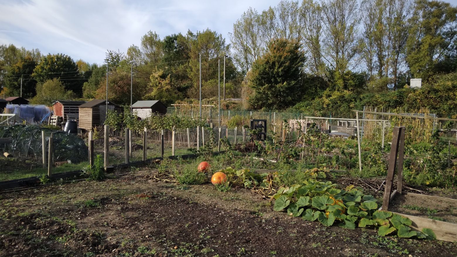 Community Growing Fund web story