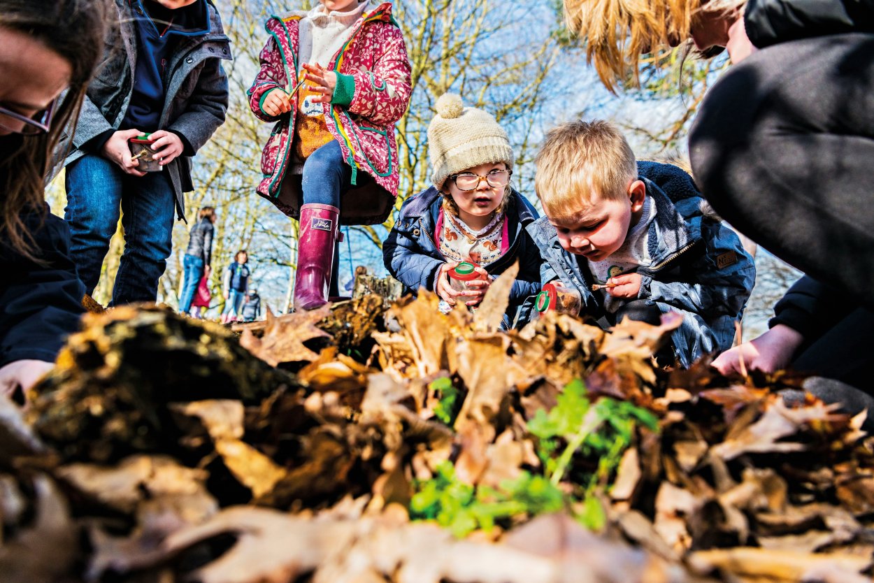 Councils’ support for ‘Wilder Communities’