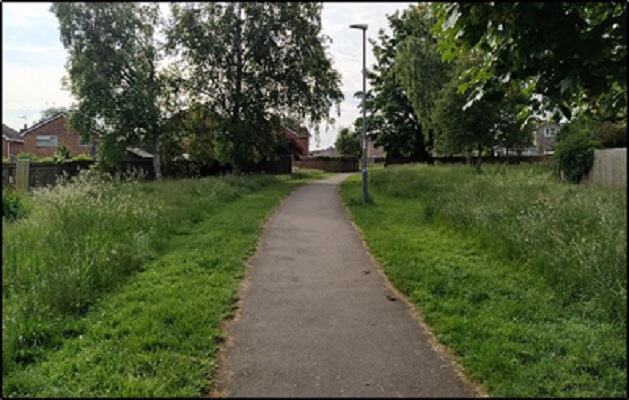 Grass strips cut to either side of the path