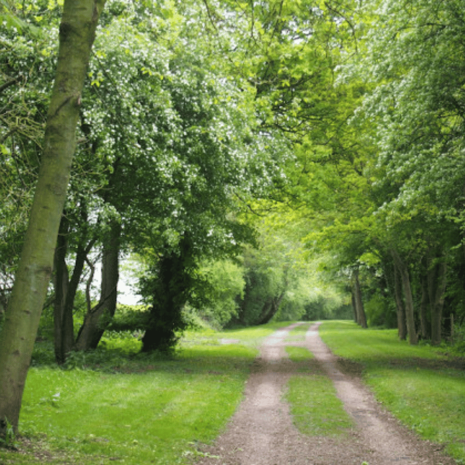 Eye to Hoxne