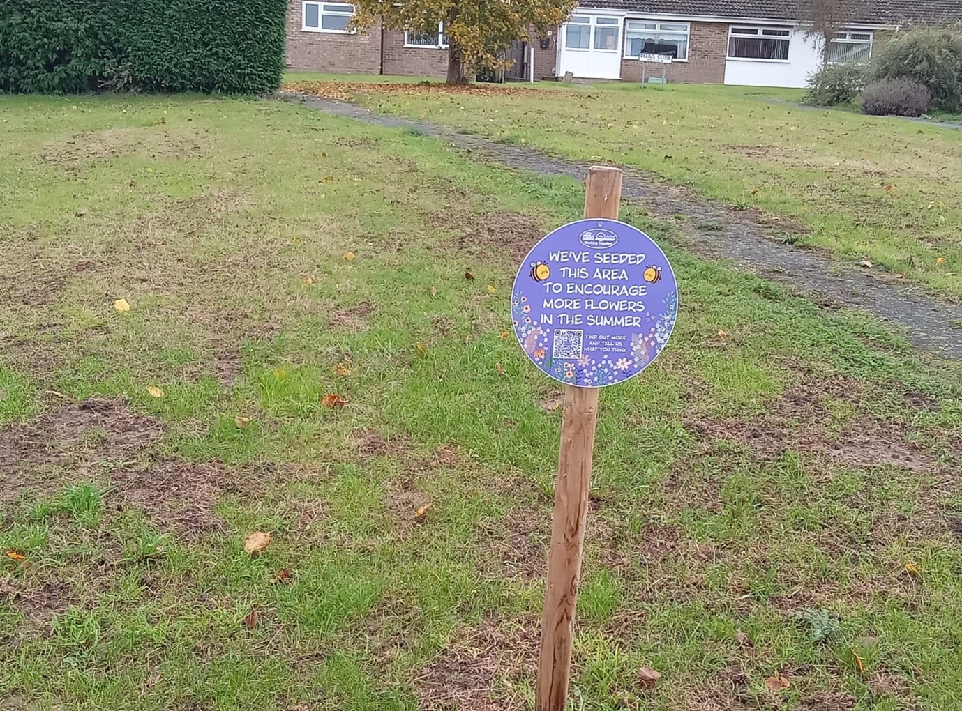 Wildflower seed sign