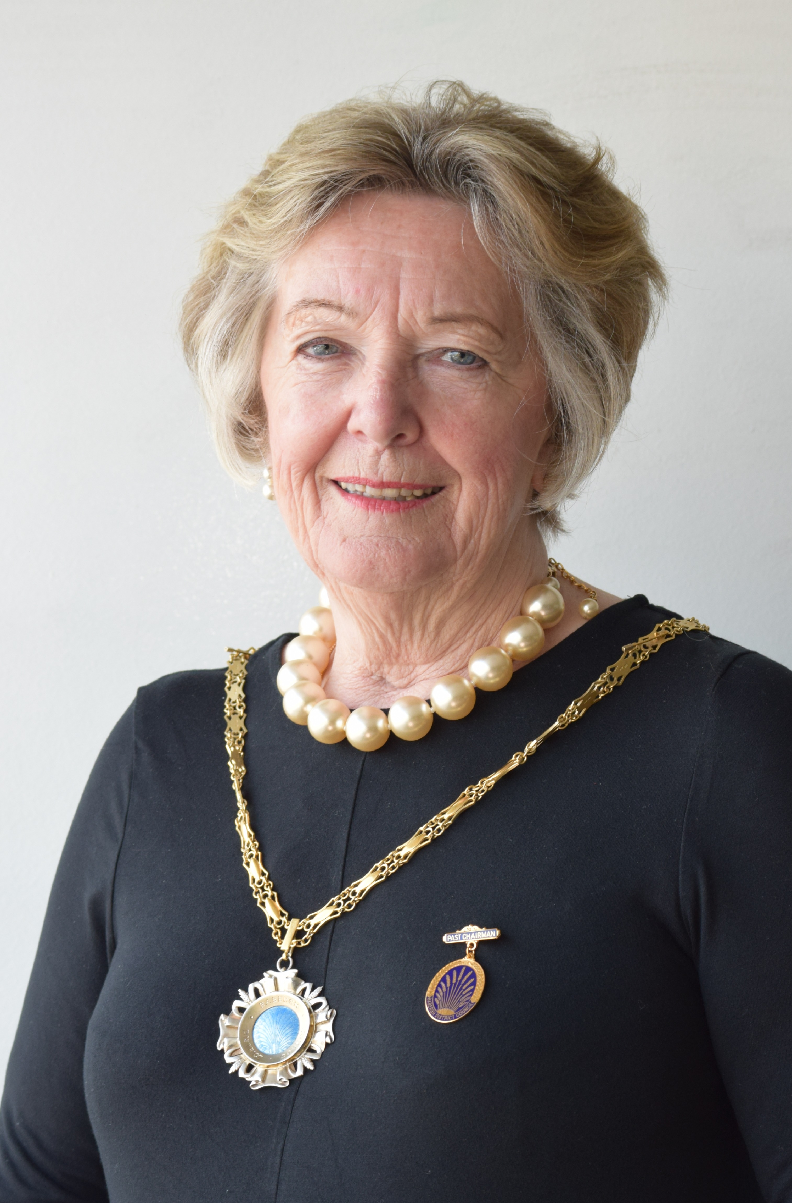 Babergh District Council Vice Chair